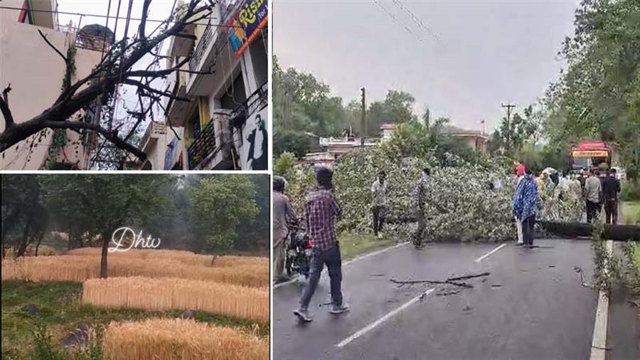 HP Weather: प्रदेश के कई जिलों में तेज हवाओं के साथ बारिश, जानें आगे कैसा रहेगा मौसम