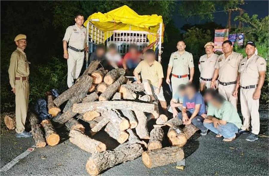 Kangra: खैर तस्करी की बड़ी खेप पकड़ी, 84 मौछे बरामद, 2 वाहन जब्त