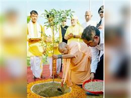 उत्तर प्रदेश में सर्वाधिक पौधरोपण, ‘एक पेड़ मां के नाम 2.0’ अभियान से सीखेगी दुनिया