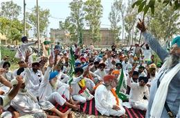 बिजली कटौती से परेशान किसानों ने पावरकॉम ऑफिस के बाहर प्रदर्शन