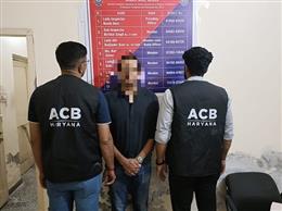कैथल में 28 हजार रुपए की रिश्वत लेते पशु चिकित्सक रंगे हाथ गिरफ्तार