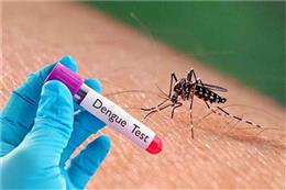 Delhi Dengue case: दिल्ली में डेंगू के 1,389 और H1N1 के 1,344 मामले, जानें लक्षण-इलाज और बचाव