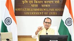 फल-सब्जियों में कीटनाशक अवशेष पर सरकार की निगरानी, 3.1% नमूने मानक से ऊपर
