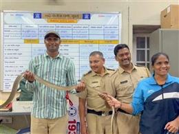 शाहरुख खान के 'मन्नत' में घुसा 8 फीट लंबा सांप, वन विभाग की टीम ने किया रेस्क्यू