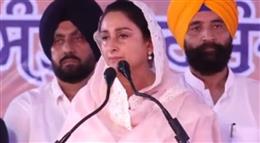 पंजाब विधानसभा चुनाव में साथ आ सकते हैं अकाली और भाजपा, हरसिमरत कौर बादल ने दिए संकेत