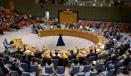 लाल सागर के रास्ते वैश्विक व्यापार पर खतरा, UNSC में हूती गतिविधियों पर चर्चा