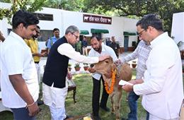 राज्यपाल प्रो. असीम कुमार घोष ने हरियाणा लोक भवन में भव्य गौशाला का किया उद्घाटन, नन्ही गाय का नाम रखा ‘गौरी’